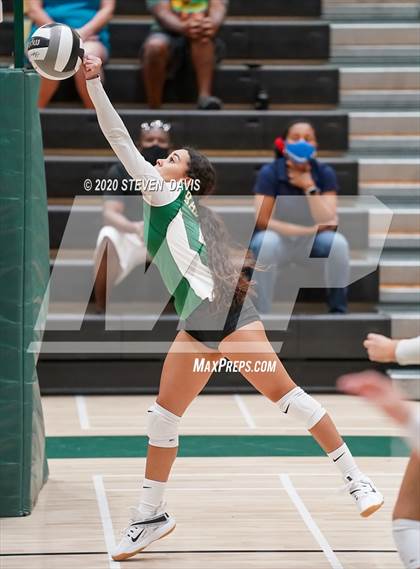 Thumbnail 3 in FR: Liberty @ Basha photogallery.