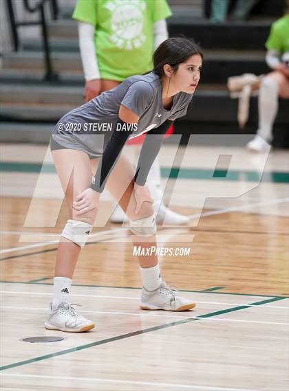 Thumbnail 2 in FR: Liberty @ Basha photogallery.