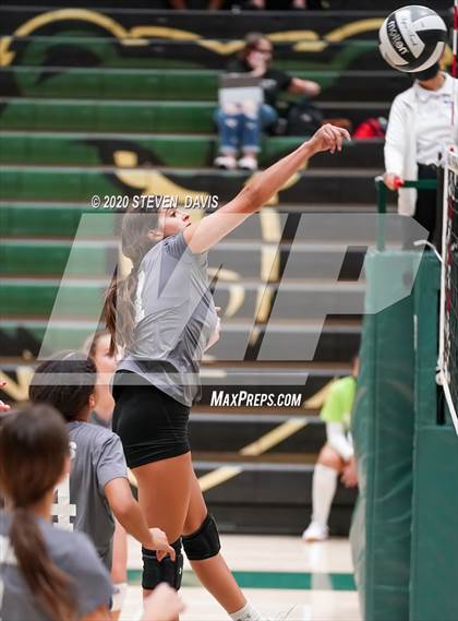 Thumbnail 1 in FR: Liberty @ Basha photogallery.