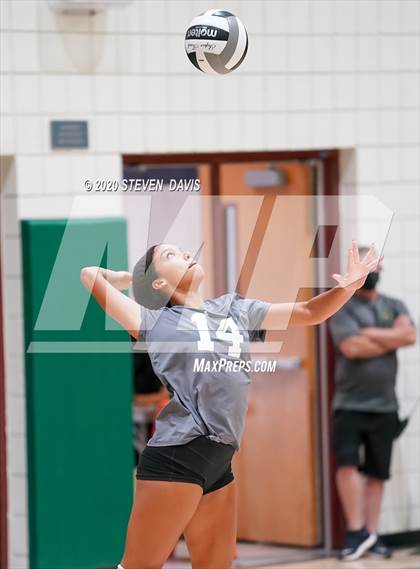 Thumbnail 1 in FR: Liberty @ Basha photogallery.