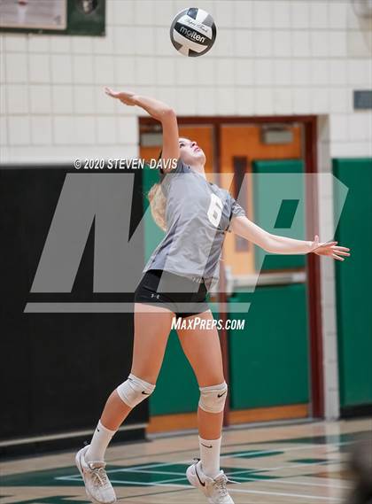 Thumbnail 2 in FR: Liberty @ Basha photogallery.