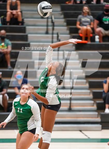 Thumbnail 3 in FR: Liberty @ Basha photogallery.