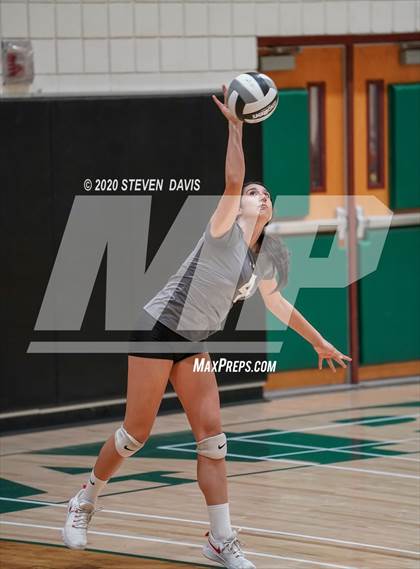 Thumbnail 3 in FR: Liberty @ Basha photogallery.