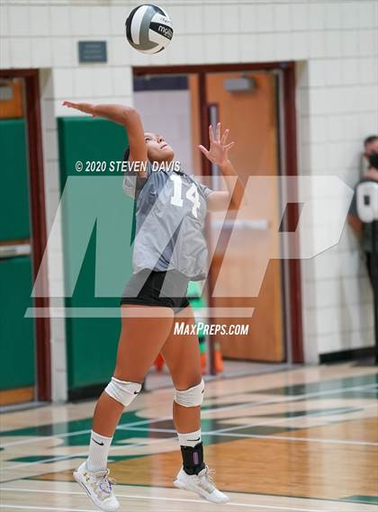 Thumbnail 3 in FR: Liberty @ Basha photogallery.