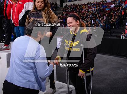 Thumbnail 1 in CIF State Girls Wrestling Championships (Awards) photogallery.