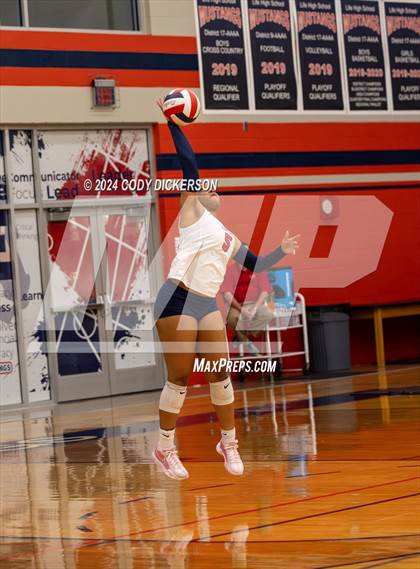 Thumbnail 1 in Palmer @ Life Waxahachie photogallery.