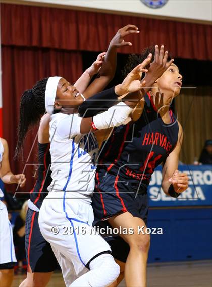 Thumbnail 1 in Harvard-Westlake vs. Serra (CIF SS Open Division Playoffs) photogallery.
