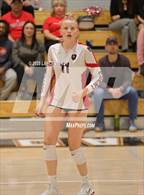 Photo from the gallery "Prospect Ridge Academy @ Colorado Academy"