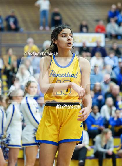 Thumbnail 1 in Fishers vs Homestead (IHSAA 4A Regional Championship) photogallery.