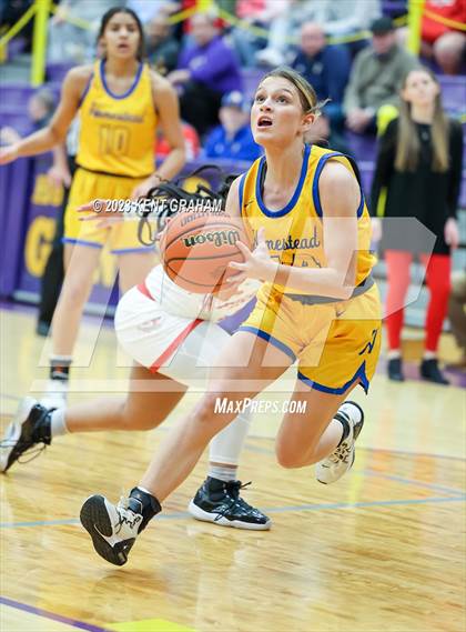 Thumbnail 1 in Fishers vs Homestead (IHSAA 4A Regional Championship) photogallery.