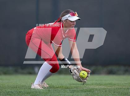Thumbnail 3 in Regis Jesuit @ Mountain Vista photogallery.