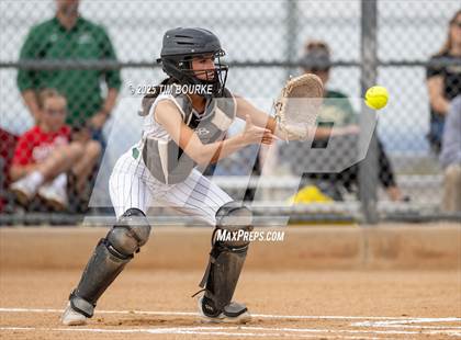 Thumbnail 2 in Regis Jesuit @ Mountain Vista photogallery.
