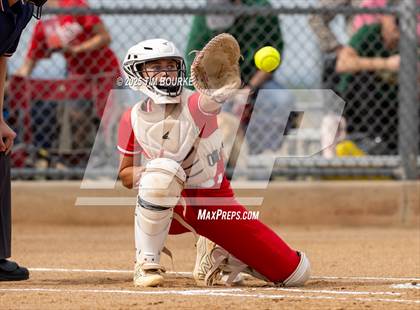 Thumbnail 2 in Regis Jesuit @ Mountain Vista photogallery.