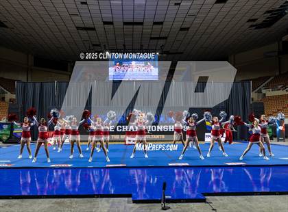 Thumbnail 3 in Bisbee - Cheer (AIA Division III-IV Prelims) photogallery.