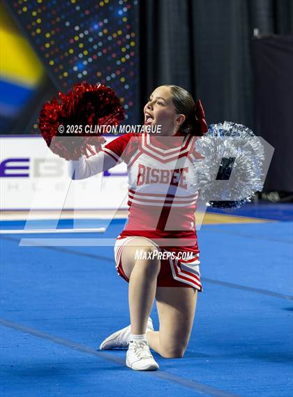 Thumbnail 1 in Bisbee - Cheer (AIA Division III-IV Prelims) photogallery.