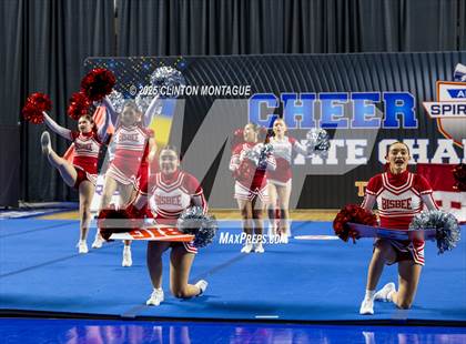 Thumbnail 3 in Bisbee - Cheer (AIA Division III-IV Prelims) photogallery.