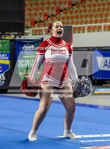Bisbee - Cheer (AIA Division III-IV Prelims)