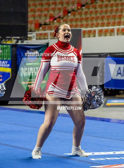 Thumbnail 2 in Bisbee - Cheer (AIA Division III-IV Prelims) photogallery.
