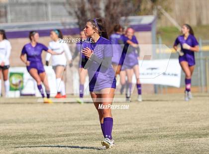 Thumbnail 1 in Hernando @ DeSoto Central photogallery.