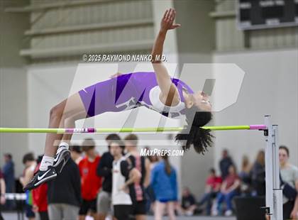 Thumbnail 3 in Taylor HSR Qualifier (High Jump) photogallery.