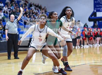 Thumbnail 1 in Liberty vs. Reedy (UIL 5A Girls Basketball Regional Quarterfinal) photogallery.