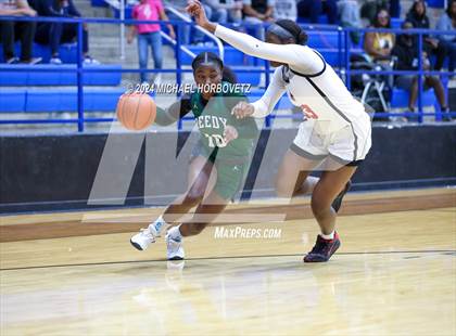Thumbnail 1 in Liberty vs. Reedy (UIL 5A Girls Basketball Regional Quarterfinal) photogallery.