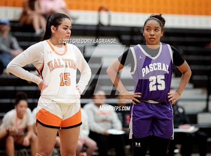 Thumbnail 2 in Paschal [R. L.] vs Haltom photogallery.