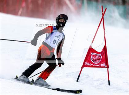 Thumbnail 2 in NYSPHAA Section V Class A&B Giant Slalom Final (Second Run) photogallery.