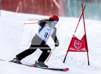 Thumbnail 1 in NYSPHAA Section V Class A&B Giant Slalom Final (Second Run) photogallery.
