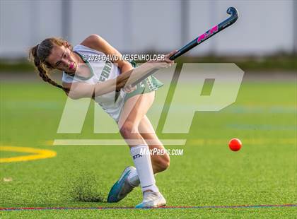 Thumbnail 2 in Oyster bay @ Seaford photogallery.