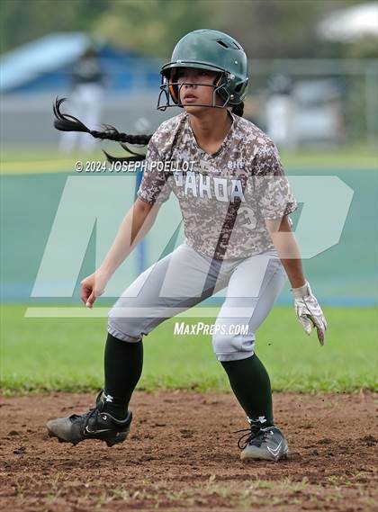 Thumbnail 3 in Pahoa @ Waiakea photogallery.