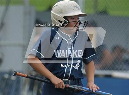 Thumbnail 3 in Pahoa @ Waiakea photogallery.