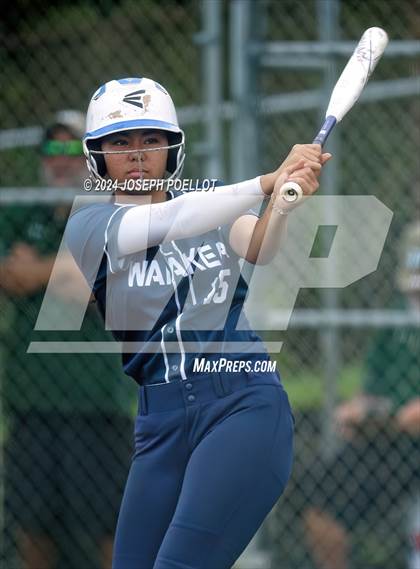 Thumbnail 2 in Pahoa @ Waiakea photogallery.