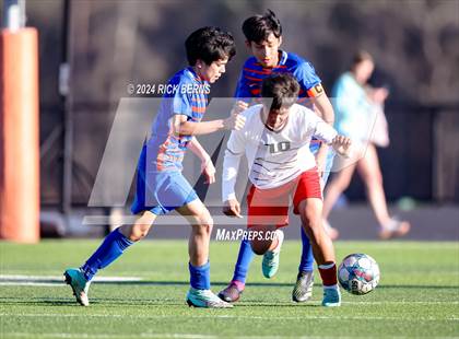Thumbnail 1 in Grand Oaks vs Cleveland photogallery.