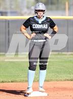 Photo from the gallery "Cactus @ Deer Valley"