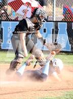 Photo from the gallery "Cactus @ Deer Valley"