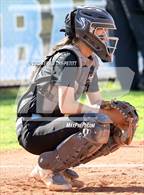 Photo from the gallery "Cactus @ Deer Valley"