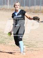 Photo from the gallery "Cactus @ Deer Valley"