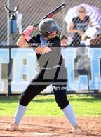 Photo from the gallery "Cactus @ Deer Valley"