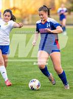 Photo from the gallery "Garner @ Sanderson"