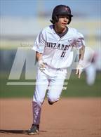 Photo from the gallery "Windsor @ Silver Creek"