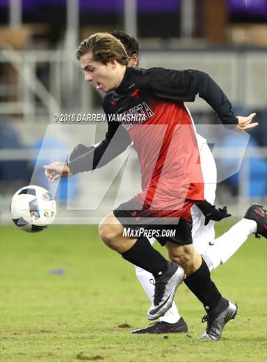 null - Photo 41