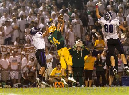 Thumbnail 1 in Rolling Meadows @ Elk Grove photogallery.