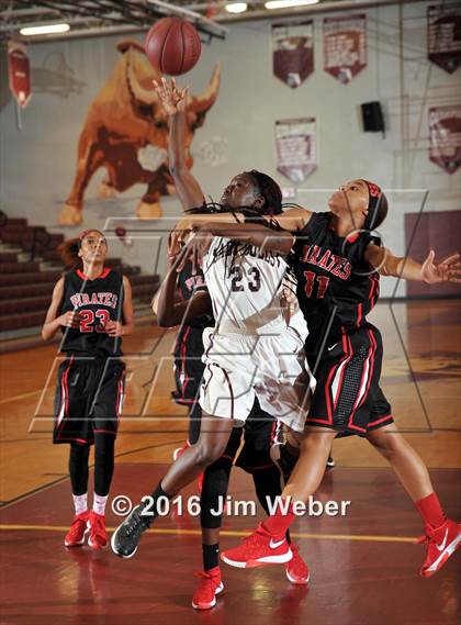 Thumbnail 2 in Pasco @ Wiregrass Ranch photogallery.