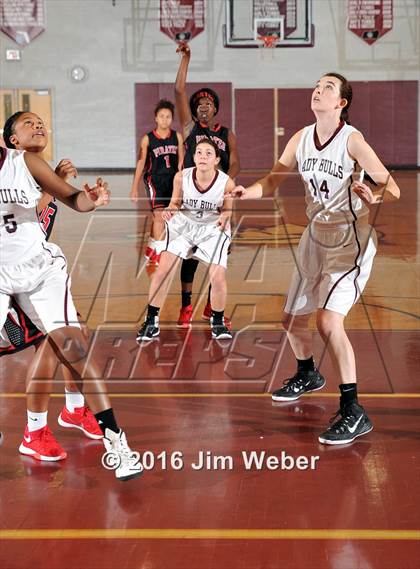 Thumbnail 3 in Pasco @ Wiregrass Ranch photogallery.