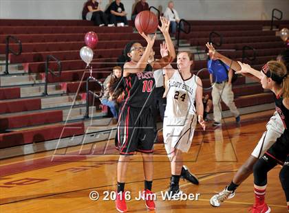 Thumbnail 2 in Pasco @ Wiregrass Ranch photogallery.