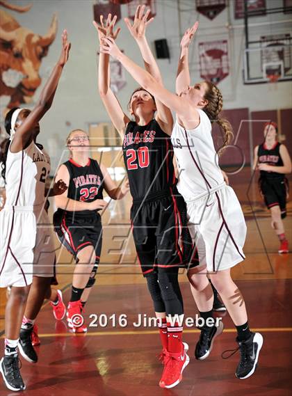 Thumbnail 3 in Pasco @ Wiregrass Ranch photogallery.
