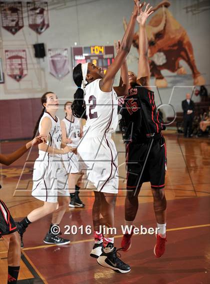Thumbnail 3 in Pasco @ Wiregrass Ranch photogallery.