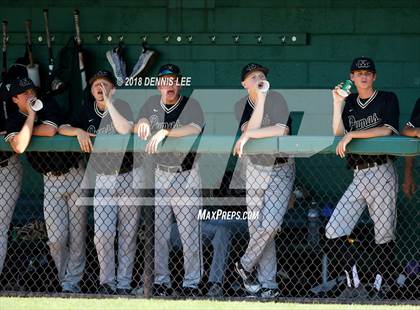 Thumbnail 3 in Maria Carrillo vs. Alameda (CIF NCS D2 Final) photogallery.