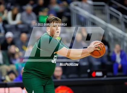 Thumbnail 2 in Bellevue West vs. Gretna photogallery.